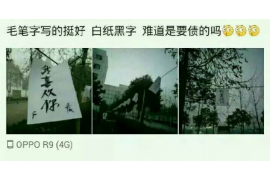 细河遇到恶意拖欠？专业追讨公司帮您解决烦恼